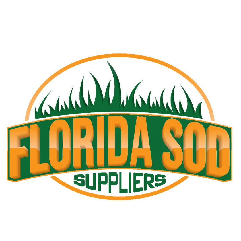 Coral Springs St Augustine Sod Palmetto Turf » Florida Sod Suppliers