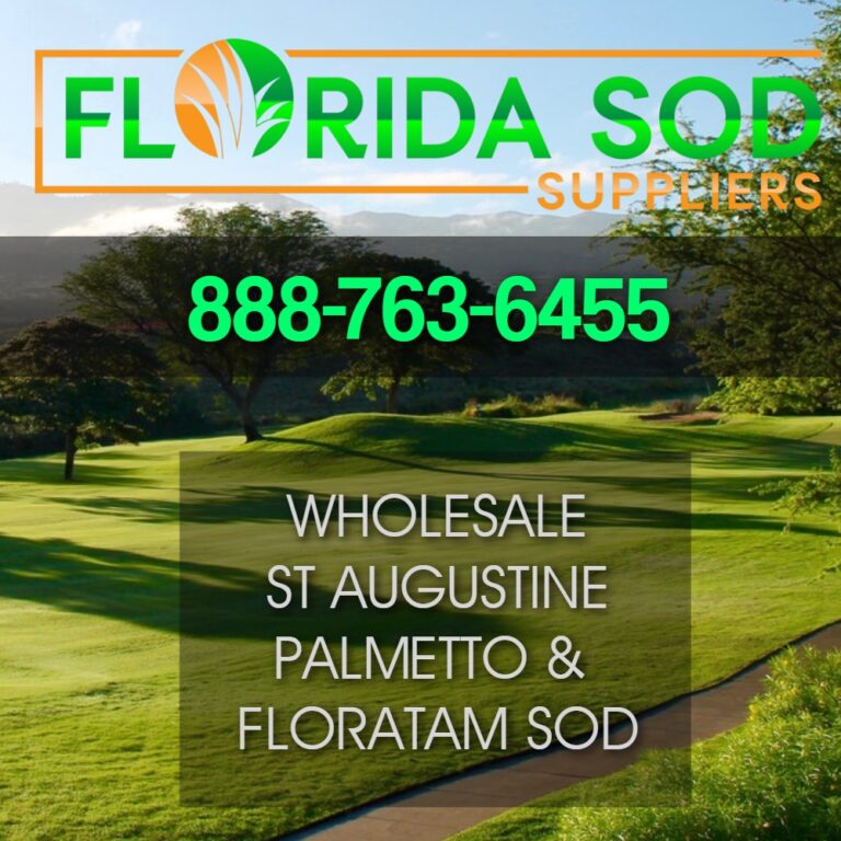 Palm Bay St Augustine Sod Suppliers » Florida Sod Suppliers