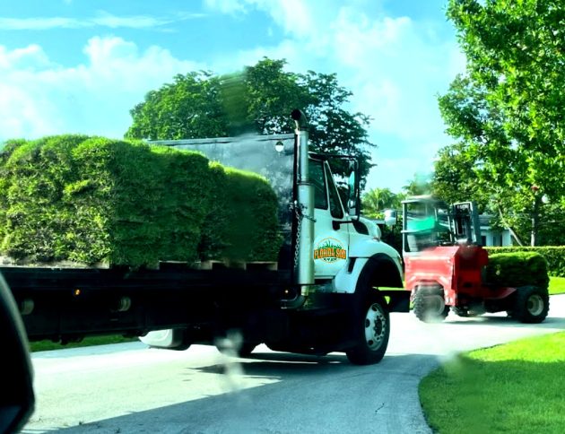 Florida-Sod-Installers-Broward-County-Sod-Dade