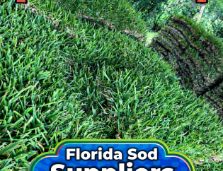 Florida-Sod-Suppliers-Order-Farm-Fresh-Grass