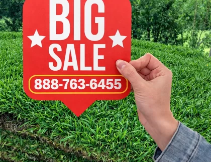 Wholesale-Sod-Farm-Supplier